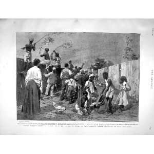  1901 Malays Catching Locusts Africa Port Elizabeth: Home 