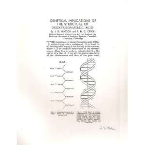   Dr. James Watson PSA/DNA Unframed DNA Diagram