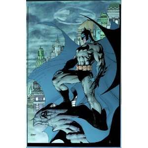  Batman #608 Jim Lee Poster Toys & Games