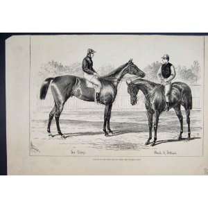  1879 Winners Derby Oaks Horses Jockey Old Print