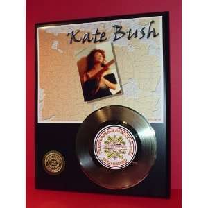 KATE BUSH GOLD RECORD LIMITED EDITION DISPLAY