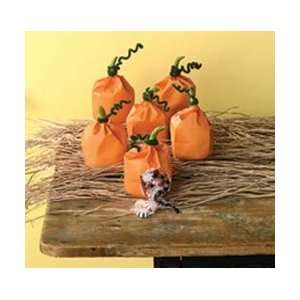  Martha Stewart Favor Bags 6/Pkg Pumpkin; 2 Items/Order 