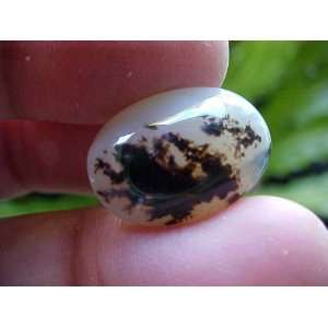  Zs4512 Gemqz Dendritic Tree Agate Oval Cabochon Beauty 