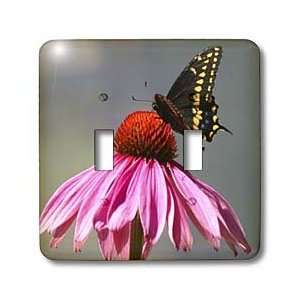   Landing   Light Switch Covers   double toggle switch: Home Improvement