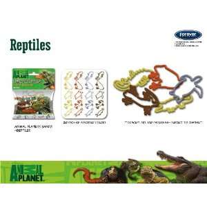    Animal Planet Reptile Logo Bandz Bracelets: Sports & Outdoors