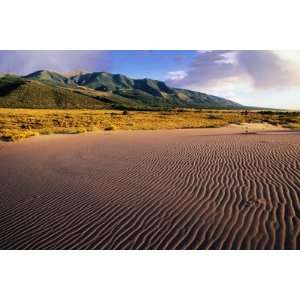  Rippled Sand and Desert Landscape Covered with Rabbitbrush 