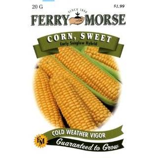  Peaches and Cream Sweet Corn Plus Pack 100 Seeds 