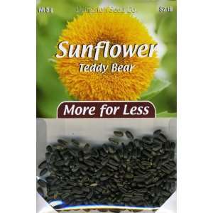  Plus Pack   Teddy Bear Sunflower Patio, Lawn & Garden