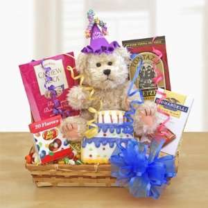 Birthday Party Teddy Bear Gift Basket Grocery & Gourmet Food