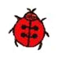 Ladybug Insect Bug Embroidered Iron On Patches w0114  