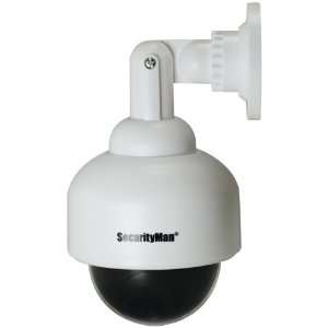   Outdoor/Indoor Speed Dome Camera with LED (SM 2100)