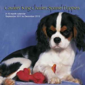  Cavalier King Charles Puppies 2012 Wall Calendar #DOG15 