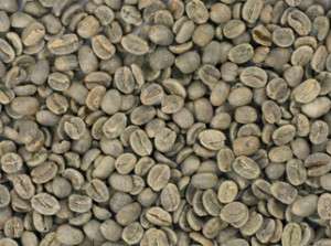 25 Lb Nicaragua SHG Green Coffee Beans  
