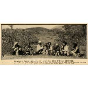  1908 Print Trained Cheetah Lynx Hawks Hunters India 