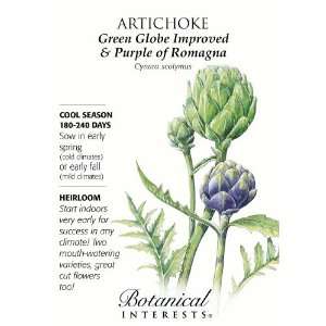   Globe & Purple Romanga Artichoke   18 Seeds Patio, Lawn & Garden