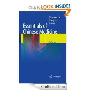 Essentials of Chinese Medicine Volume 3 Zhanwen Liu  