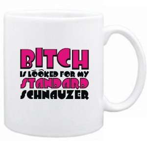  Is Looked For My Standard Schnauzer  Mug Dog: Home & Kitchen