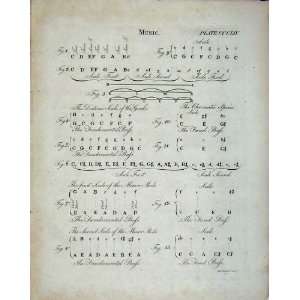   Music Encyclopaedia Britannica Notes Scale Bass Greek