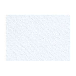  Canson Mi Teintes Pastel Paper   10 Pack 19x25   White 