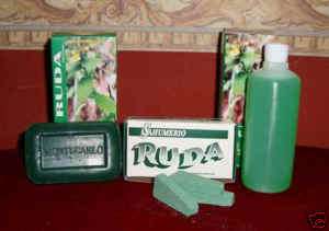 Rue Herb Ruda Soap Incense Fluid Santeria Umbanda Yorub  