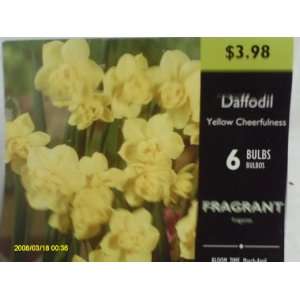  Daffodil, Yellow Cheerfulness Patio, Lawn & Garden