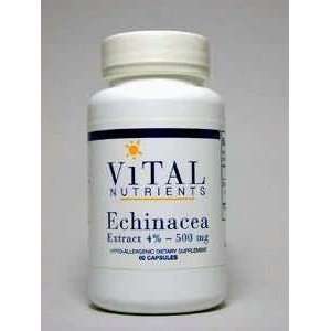     Echinacea Extract SE   60 caps / 500 mg: Health & Personal Care