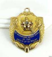 DeMOLAY   Masonic Medal of Appreciation FOB CHARM  