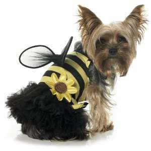   Leg Avenue Dog Costumes Daisy Bee Costume, Size: XSMALL: Pet Supplies