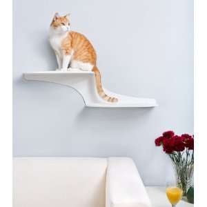  Cat Cloud Cat Shelf: Pet Supplies