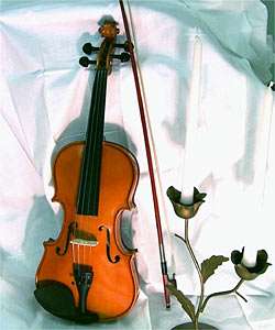Orchestra Approved Student Violin w/ Case (4 Sizes)  Overstock