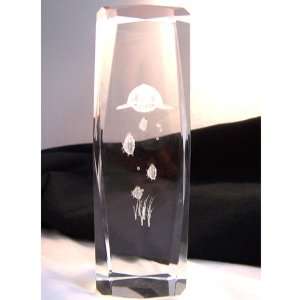  Laser Art Crystal with Turtle and Fish 