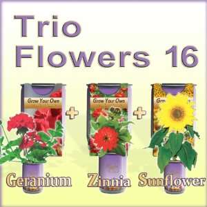  Grow Your Own Flowers (All in one Trio Pack Zinnia 