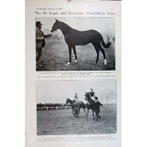   1905 Horse Leger Docaster Tennis Eastbourne Sport Men