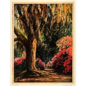  1925 Print Magnolia Plantation Gardens Charleston SC 