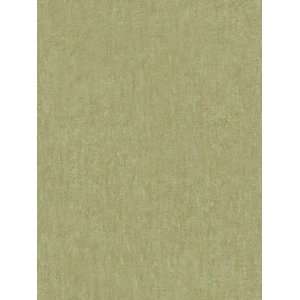  Wallpaper Steves Color Collection   Green BC1581776: Home 