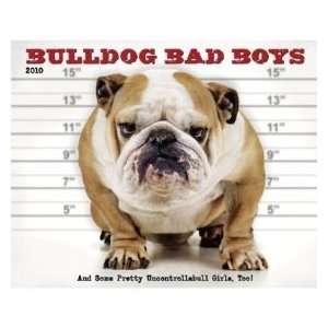  Bulldog Bad Boys 2010 Standard Wall Calendar Everything 