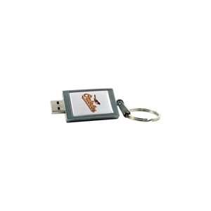   4GB DataStick Keychain Baltimore Orioles USB 2.0 Flash Dr Electronics
