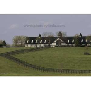  Linda Shier Tranquil Horse Barn 13X19 with Single Mat 