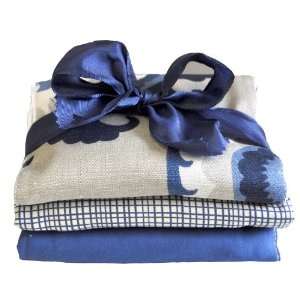  Dakota Blue Burp Cloth Set Baby