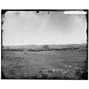 com Civil War Reprint Prospect Hill, Virginia. 13th New York Cavalry 