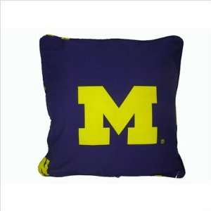   Decorative Pillow   Big 10 Conference 