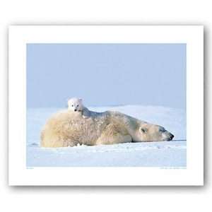  Polar Bear And Cub, Manitoba, Canada Poster Print