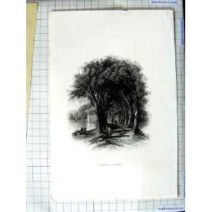  ANTIQUE ENGRAVING VIEW FOREST GLADE TREES RIVER PEOPLE