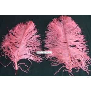 Ostrich~5 Mini Wing Ostrich Plumes Cotton Candy PINK Ostrich Feather 