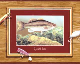 SMALL & LARGEMOUTH BASS FISH SPORTSMAN FISHING LURES Wallpaper bordeR 