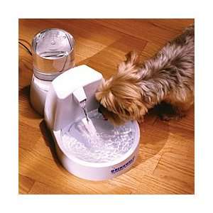  Drinkwell Pet Fountain   Improvements Patio, Lawn 