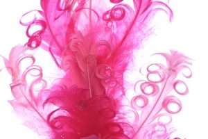 12 Pink Curly Feather Sprays Wedding Centerpiece Decor  