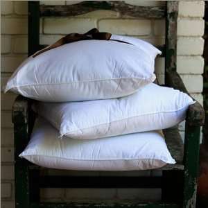  Standard Gotcha Covered Gold Plus Hypoallergenic Pillow 