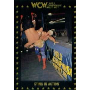   : 1991 WCW Collectible Wrestling Card #109 : Sting: Sports & Outdoors