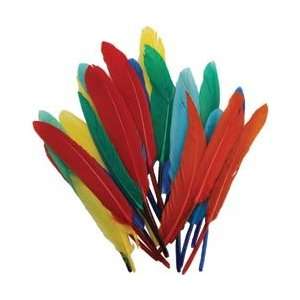  Fibre Craft Indian Feathers 24/Pkg Assorted Colors 2513 59 